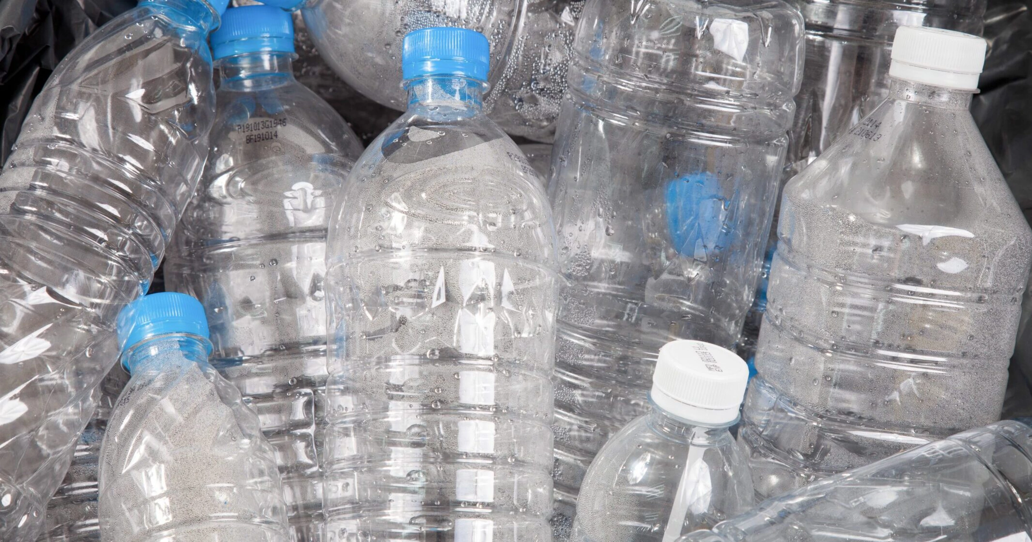 Carbon-Footprint-Article-Featured-Image-scaled-e1681941305203.jpeg