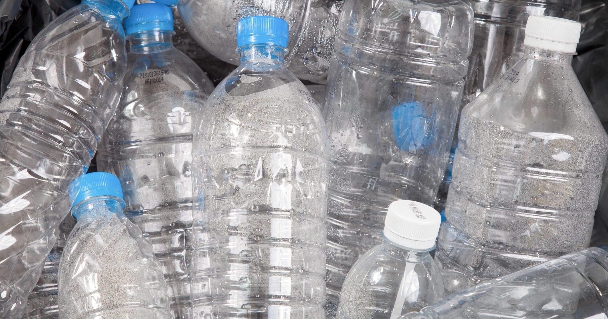 Carbon-Footprint-Article-Featured-Image-scaled-e1681941305203.jpeg