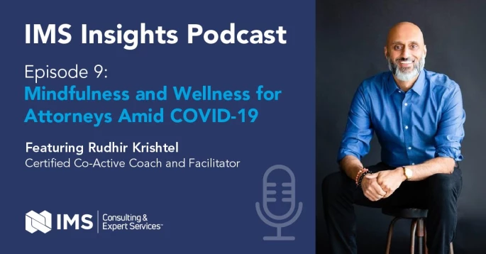 IMS Insights Podcast Episode 9 featuring Rudhir Krishtel