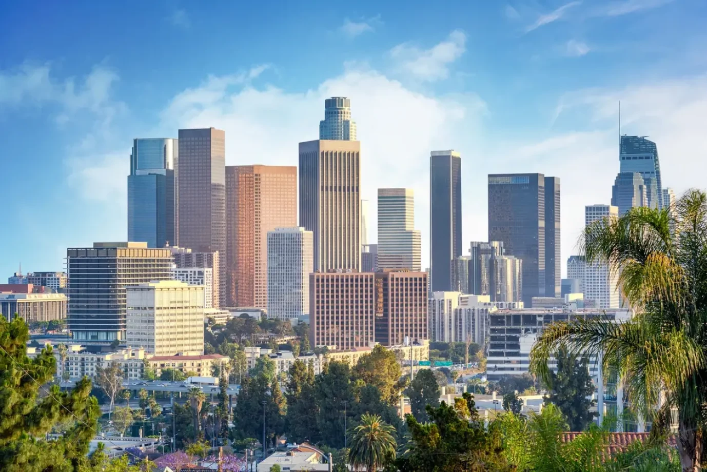 IMS Legal Strategies serving Los Angeles
