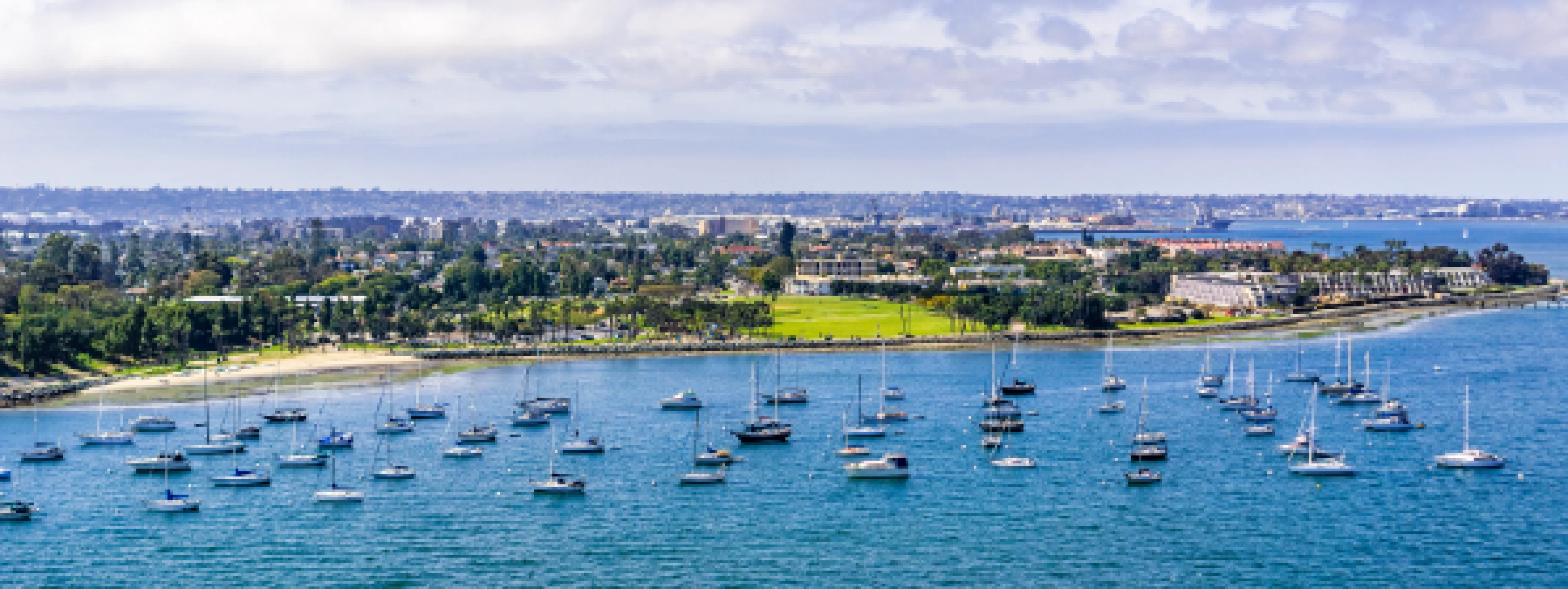 LAIPLA-Spring-Seminar-Banner_2404