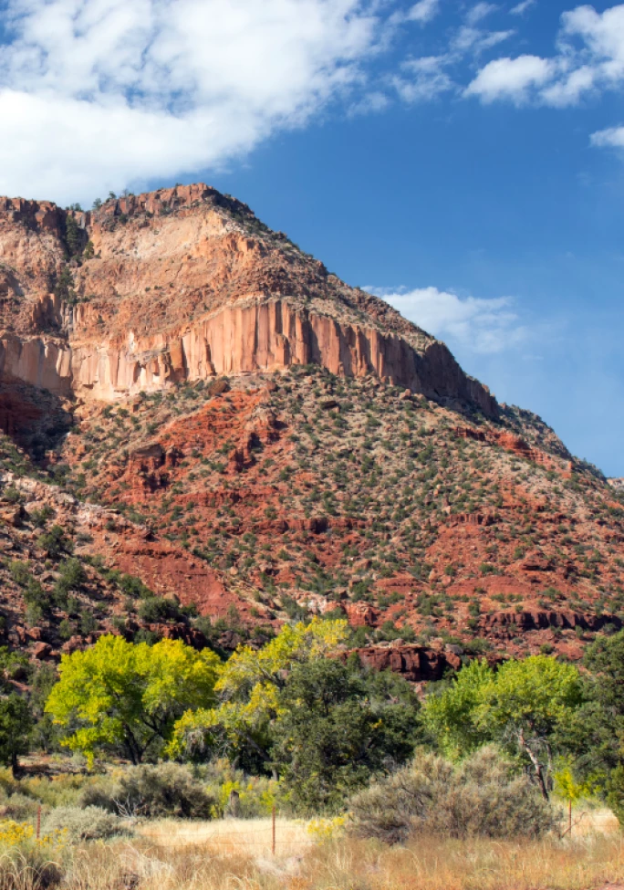 A majestic mountain in the background with trees