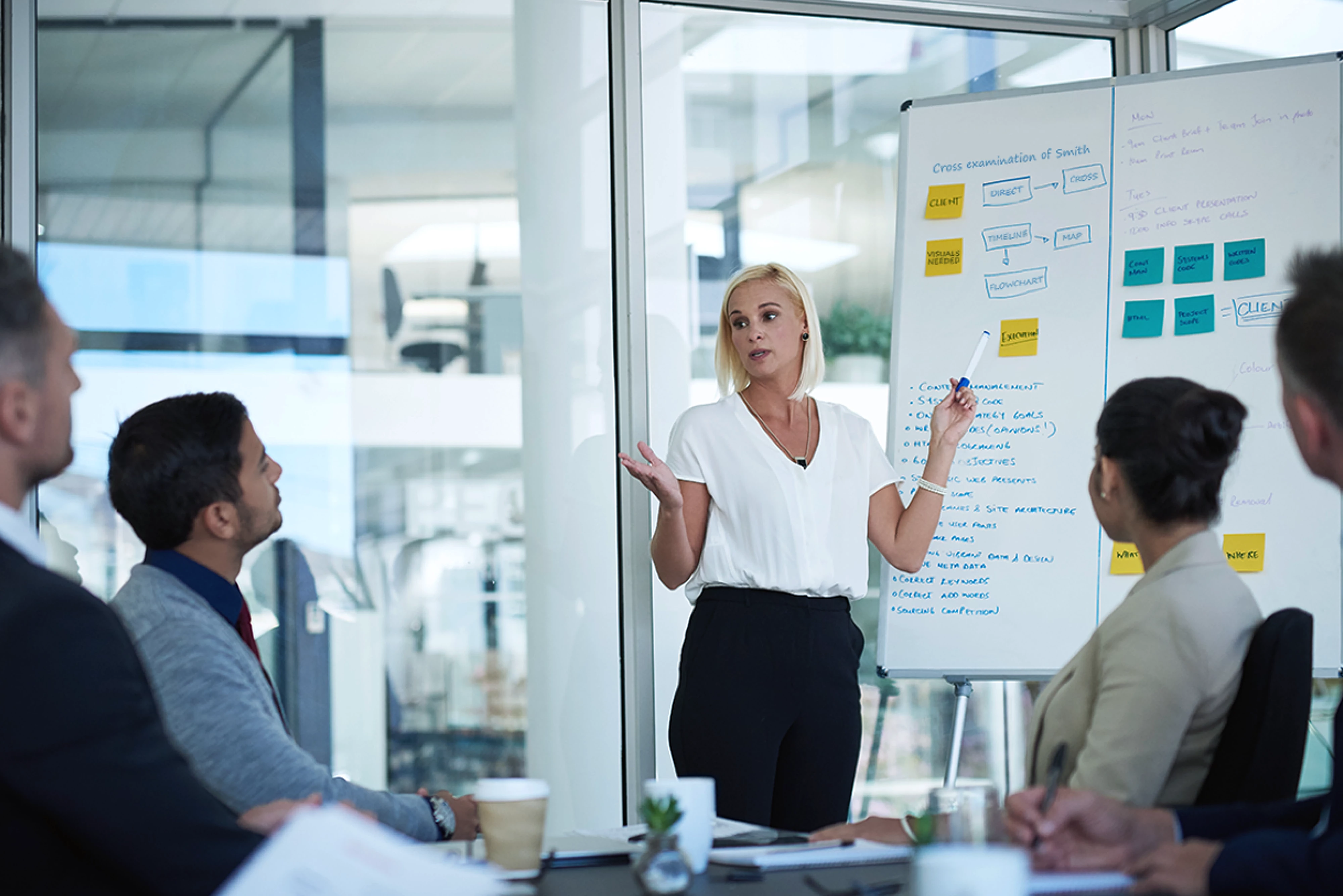 IMS_Ignite-SW-Mental-Mining