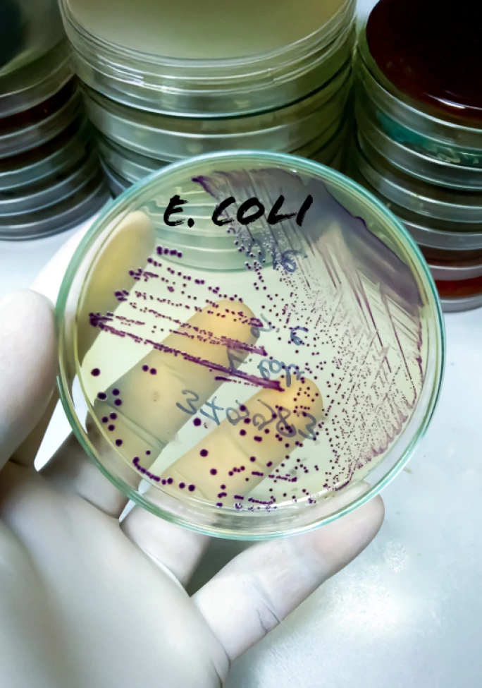 IMS-SM-Food-Safety-Technology_2509_Preview