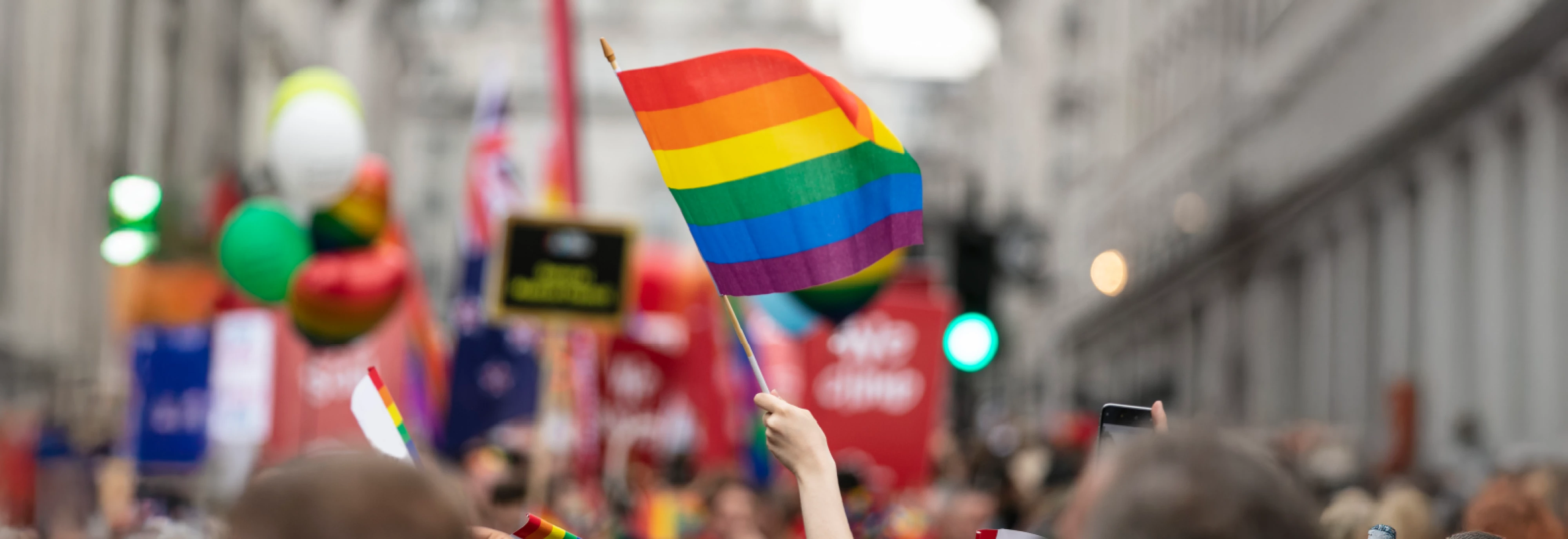 IMS-DEIB-Pride-Banner