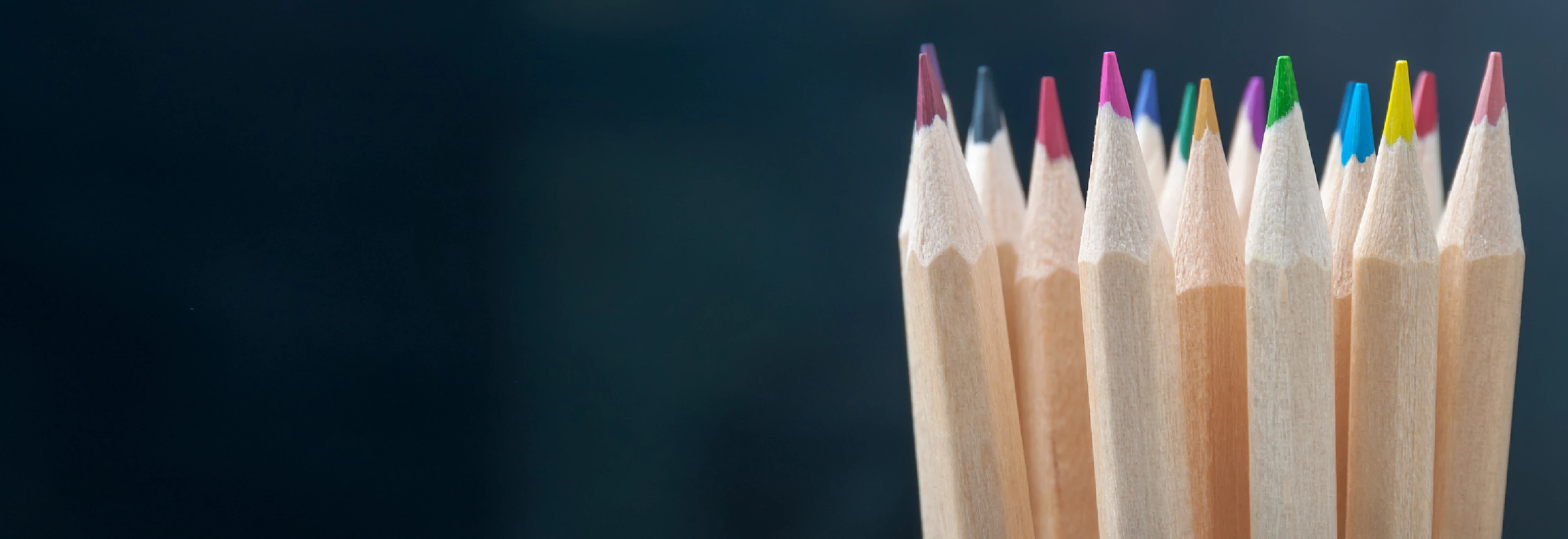 IMS-DEIB-Inclusion-Banner