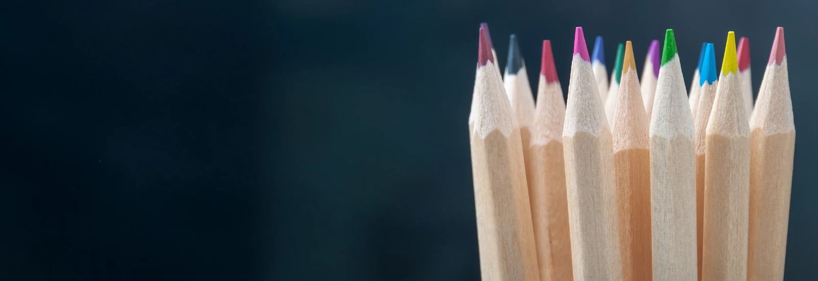 IMS-DEIB-Inclusion-Banner