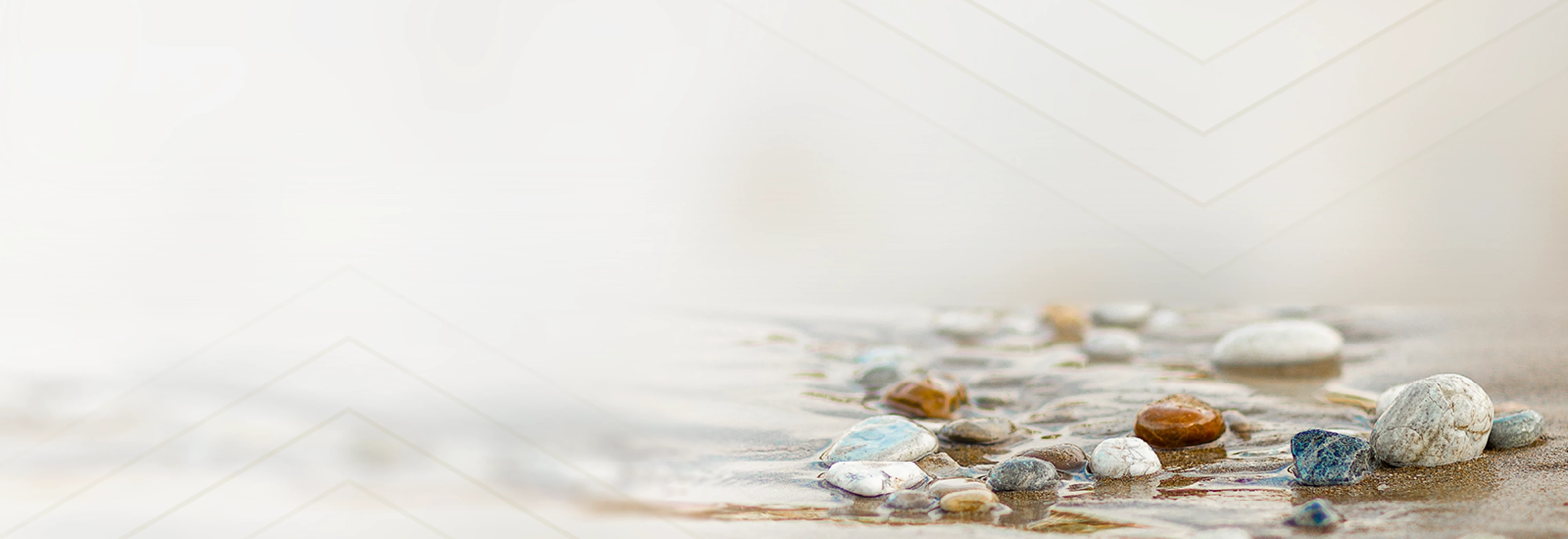 IMS-DEIB-Mindfulness-Banner