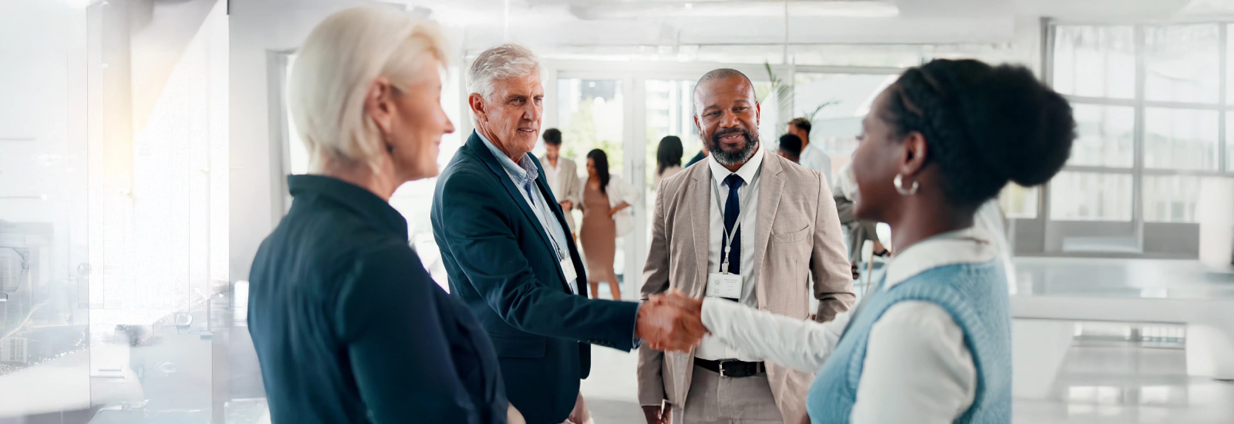 IMS-SCDTAA_2510_Banner