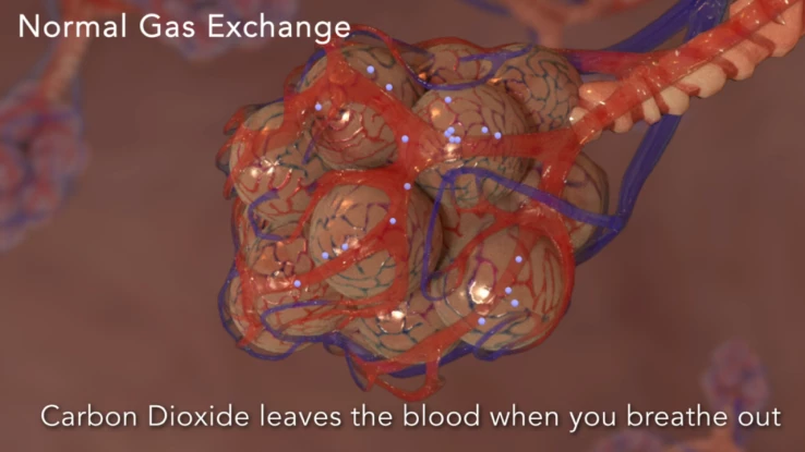 IMS_YouTube-VA_2511_3d-Animation-9