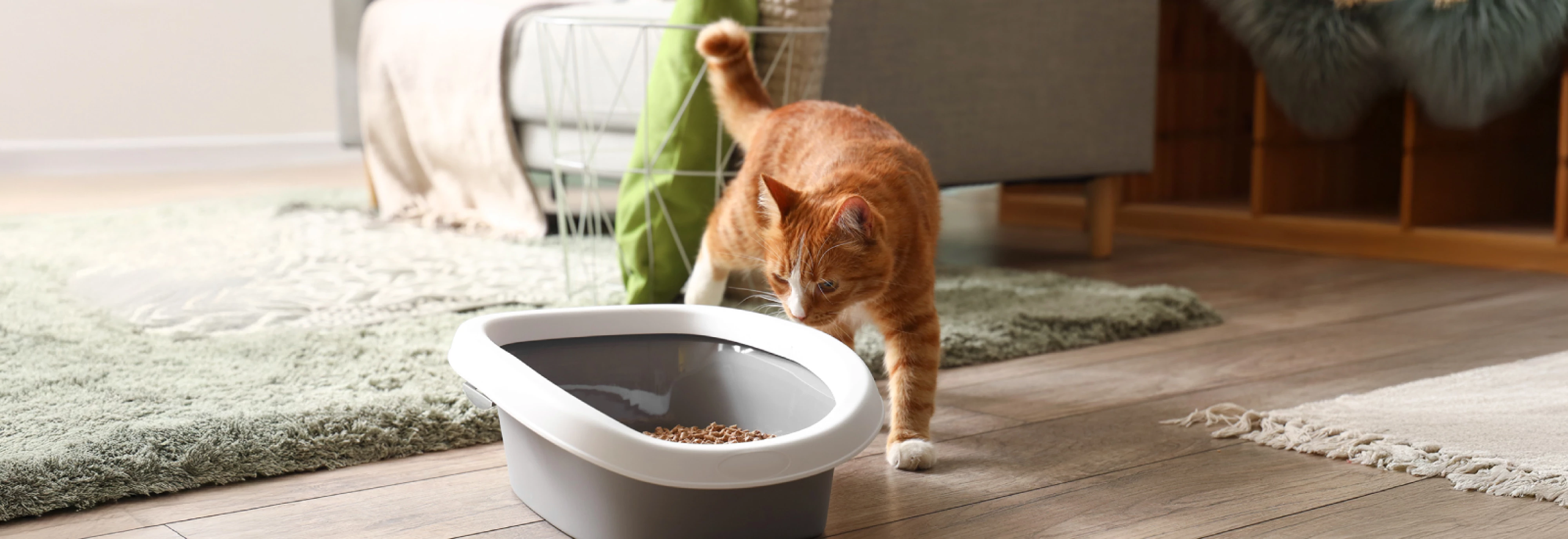 Comparative-Advertising-Claims-Cause-a-Legal-Cat-Fight_2512_Banner