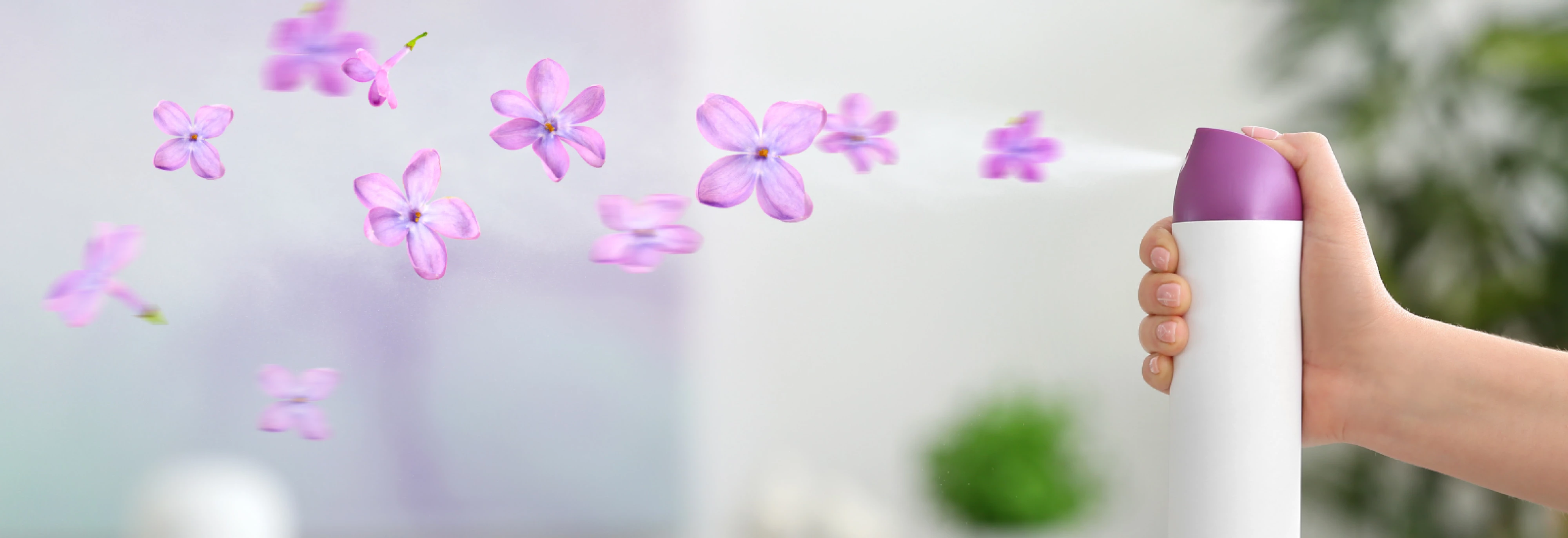 SM_Why-Companies-Must-Properly-Substantiate-Sensory-Claims_2512_Banner