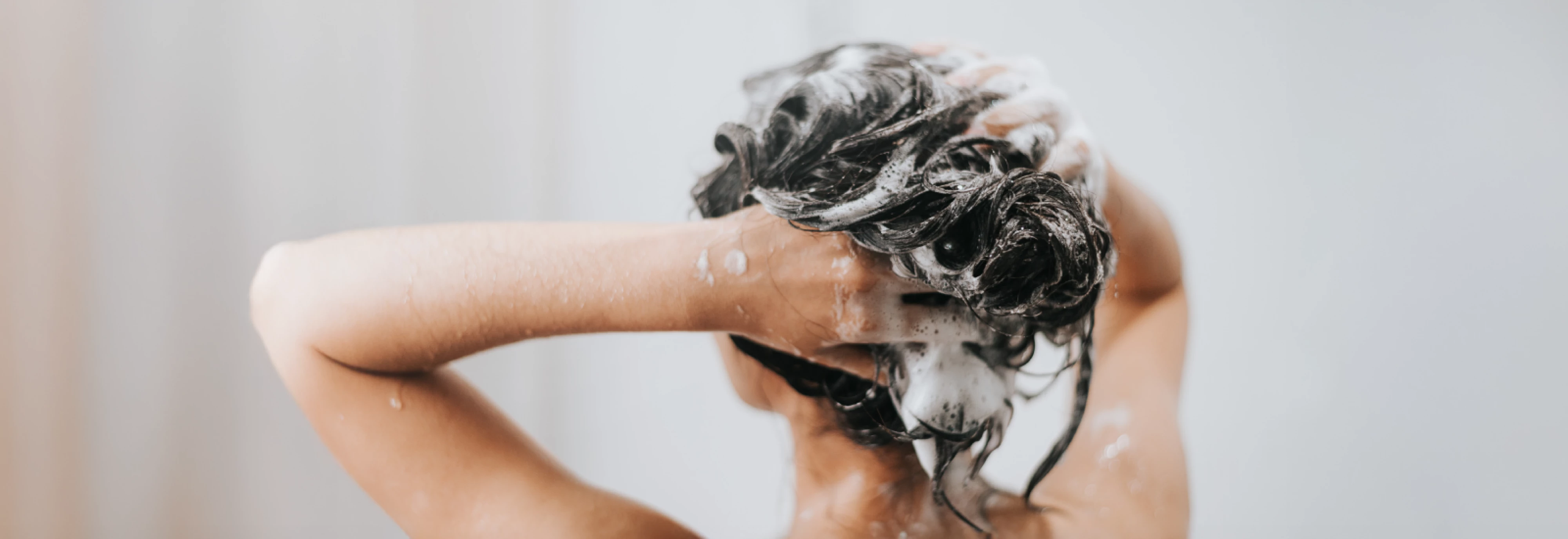 Lit-Surveys-Selsun-Banner_2601