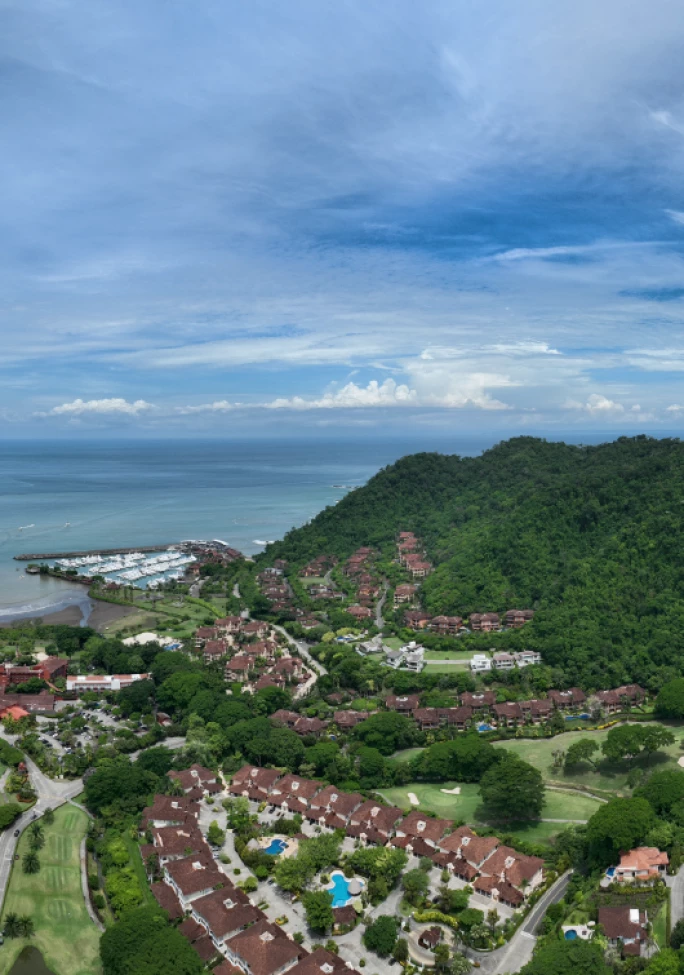 IMS_ADTA-Annual-Meeting_2604_Preview