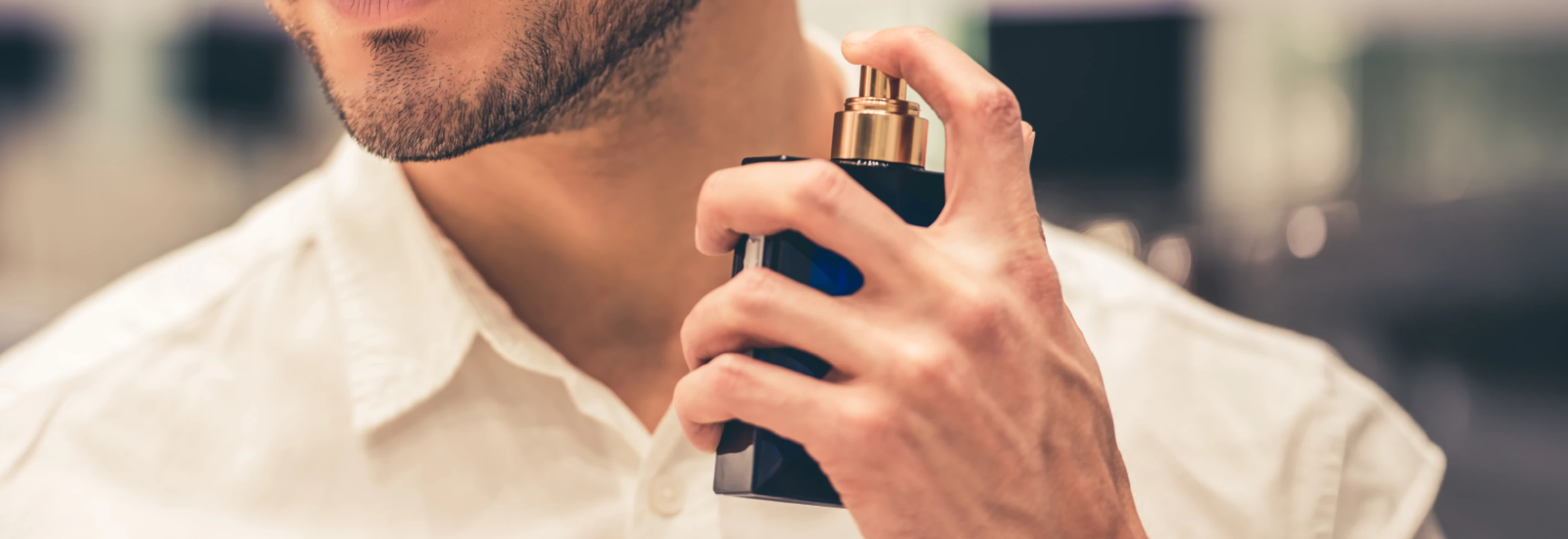 IMS_MMR-Blog-Fragrances_2604_Banner